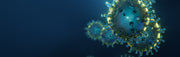 corona virus update